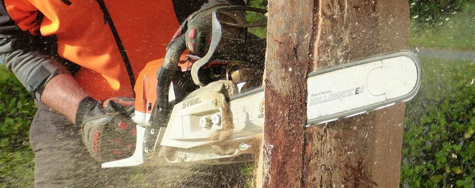 tree cutting down service in nz