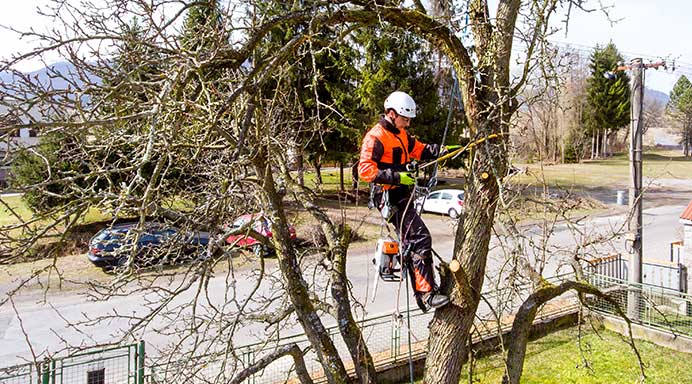 nz home page image man holding chainsaw