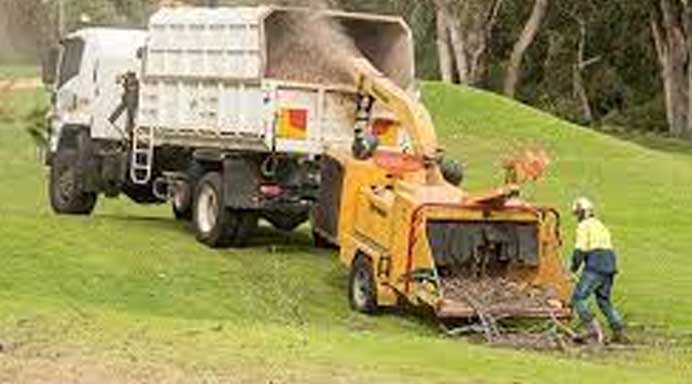 tauranga tree services home page - services tree cutting tauranga