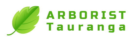 Arborist Tauranga - Tree Services in Tauranga